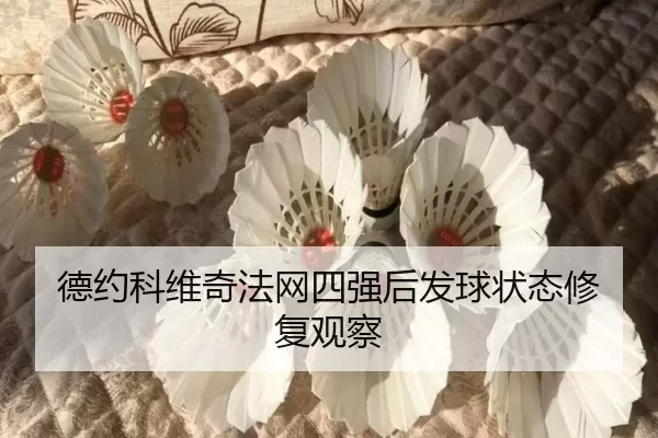 de-yue-ke-wei-qi-fa-wang-si-qiang-hou-fa-qiu-zhuang-tai-xiu-fu-guan-cha-2-214.jpg
